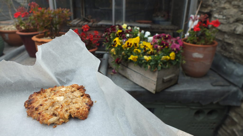 one bowl peanut butter vegan cookies