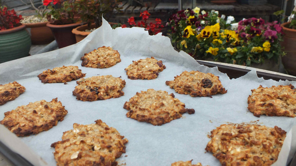 one bowl vegan peanut butter cookies